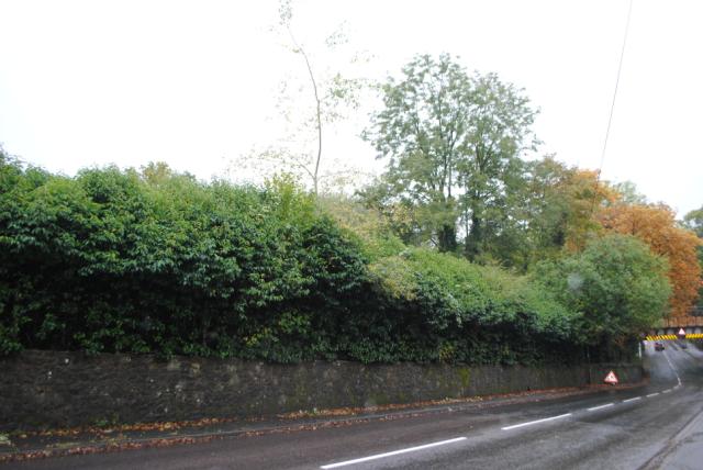 Photo of Land On South & West, Cherrimans, 55 Liphook Road, Shottermill