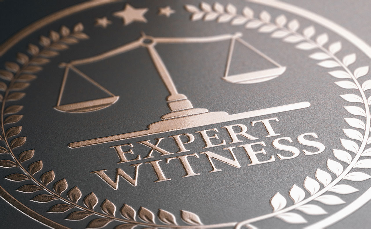 Expert Witness