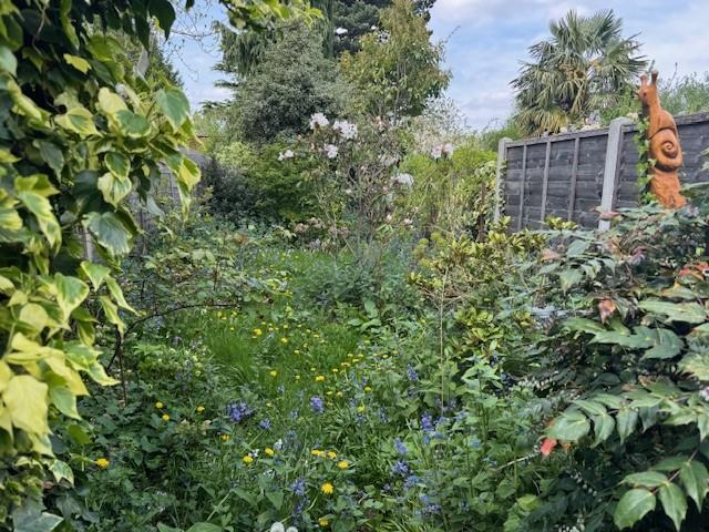 Photo of Rosedene, Bury Lane, Horsell, Woking