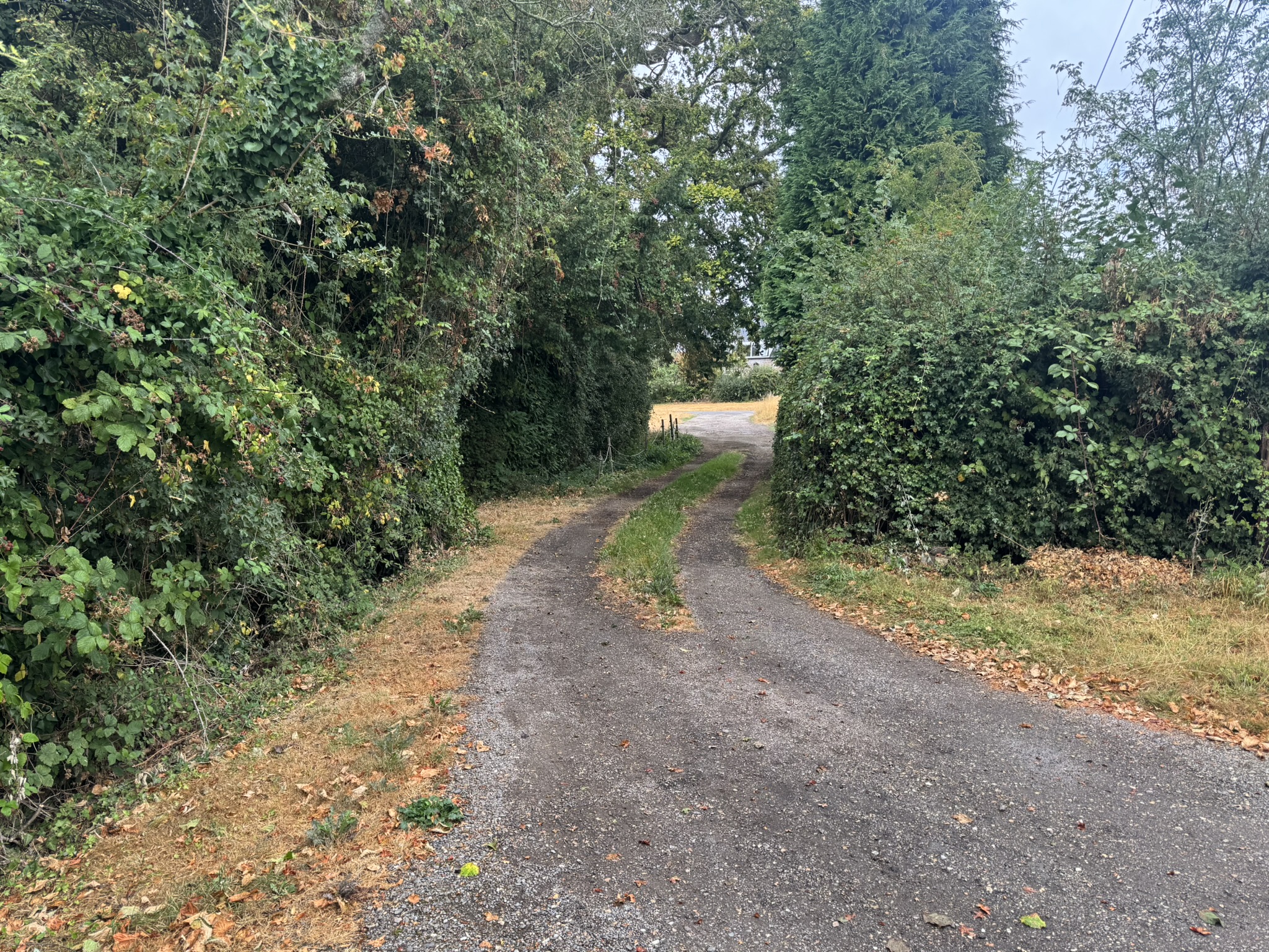 Photo of Meadowsweet, Forest Green, Dorking, Surrey