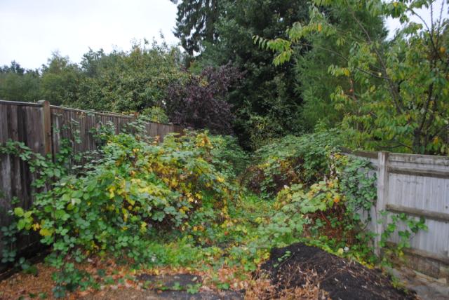 Photo of Land On South & West, Cherrimans, 55 Liphook Road, Shottermill