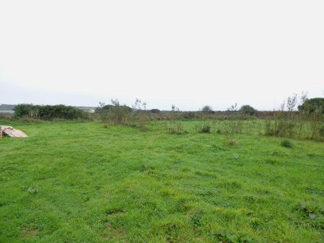 Photo of Wilderland Herb Farm, Bracken, Woolley, Bude, Cornwall