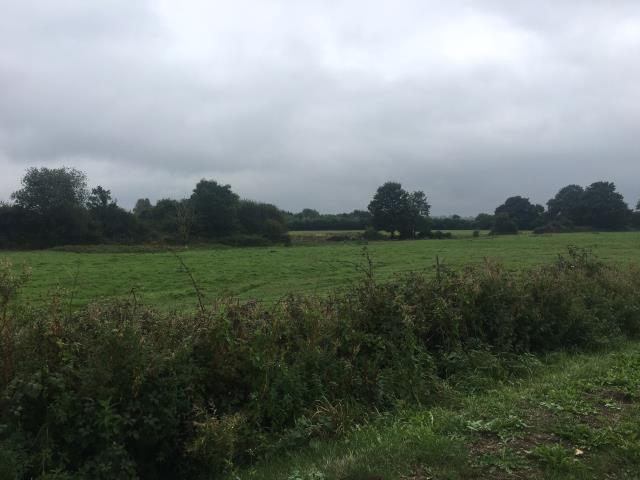 Photo of Briar Patch, Main Road, Bentley, Hampshire