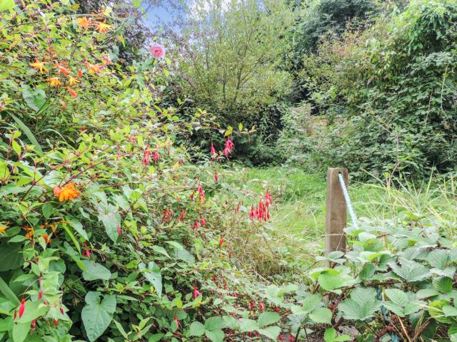 Photo of The Little Cottage, East Street, Chulmleigh, Devon